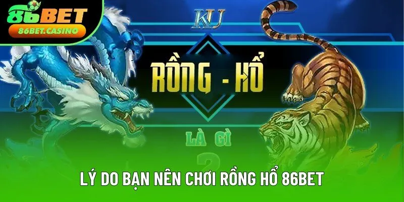 Lý do bạn nên chơi rồng hổ 86bet