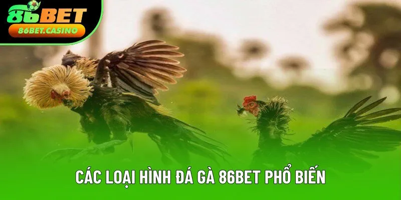 Các thể loại đá gà 86bet phổ biến nhất