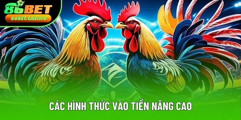 Danh sách các loại hình vào tiền nâng cao