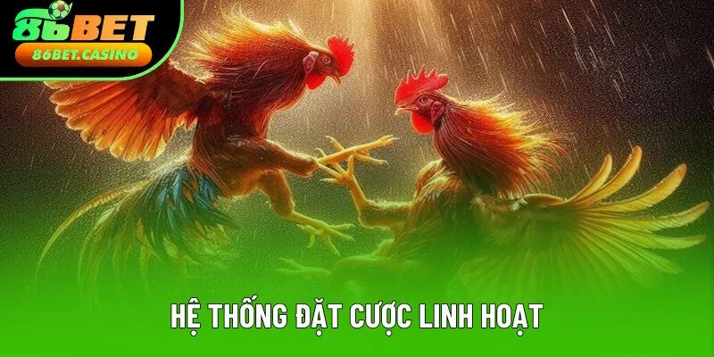 Hệ thống vào cược vô cùng linh hoạt